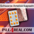 Black Ant Capsules new13
